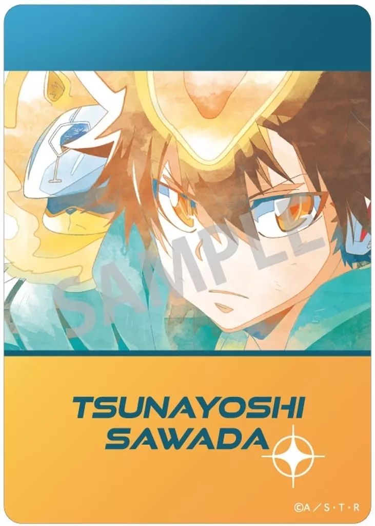 家庭教師REBORN!! CCG 沢田綱吉 キャラクターカード SKR 希少沢田綱吉ボンゴレⅠ世SKRリボーンカードCCGブロマイド