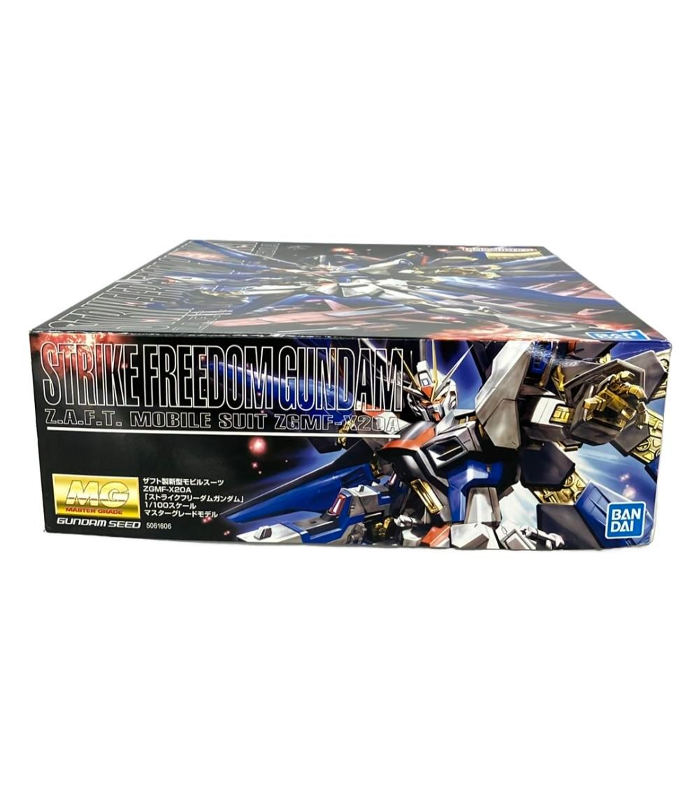 BANDAI 機動戦士ガンダムSEED DESTINY MG 1/100 ザフト製新型モビル