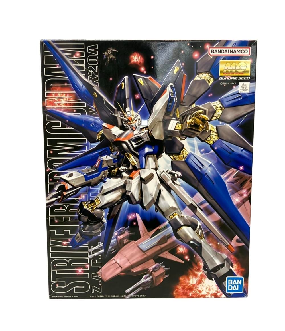 BANDAI 機動戦士ガンダムSEED DESTINY MG 1/100 ザフト製新型モビル