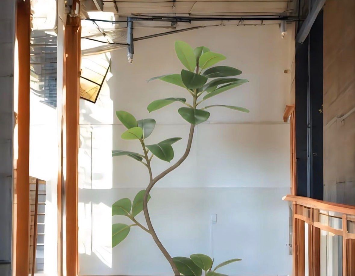 光触媒 人工観葉植物 ウォールグリーン フェイクグリーン フレッシュ