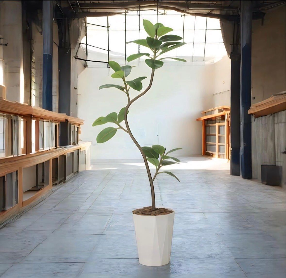 光触媒　観葉植物　ウォールグリーン　フェイクグリーン　フレッシュツイストゴムの木 光触媒 人工観葉植物 ウォールグリーン フェイクグリーン フレッシュ