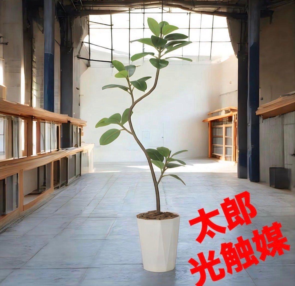 光触媒　人工観葉植物　ウォールグリーン　フェイクグリーン　ゴムの木1.8@ 光触媒 人工観葉植物 ウォールグリーン フェイクグリーン ゴムの木1.8@