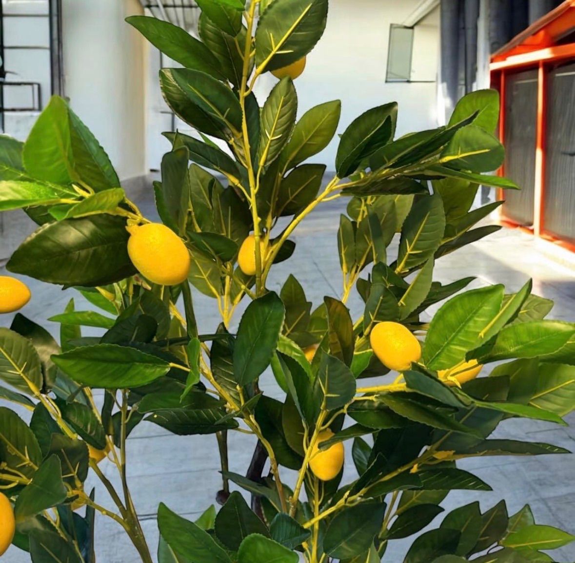 光触媒　人工観葉植物　ウォールグリーン　フェイクグリーン　レモンの木1点もの 光触媒 人工観葉植物 ウォールグリーン フェイクグリーン レモンの木