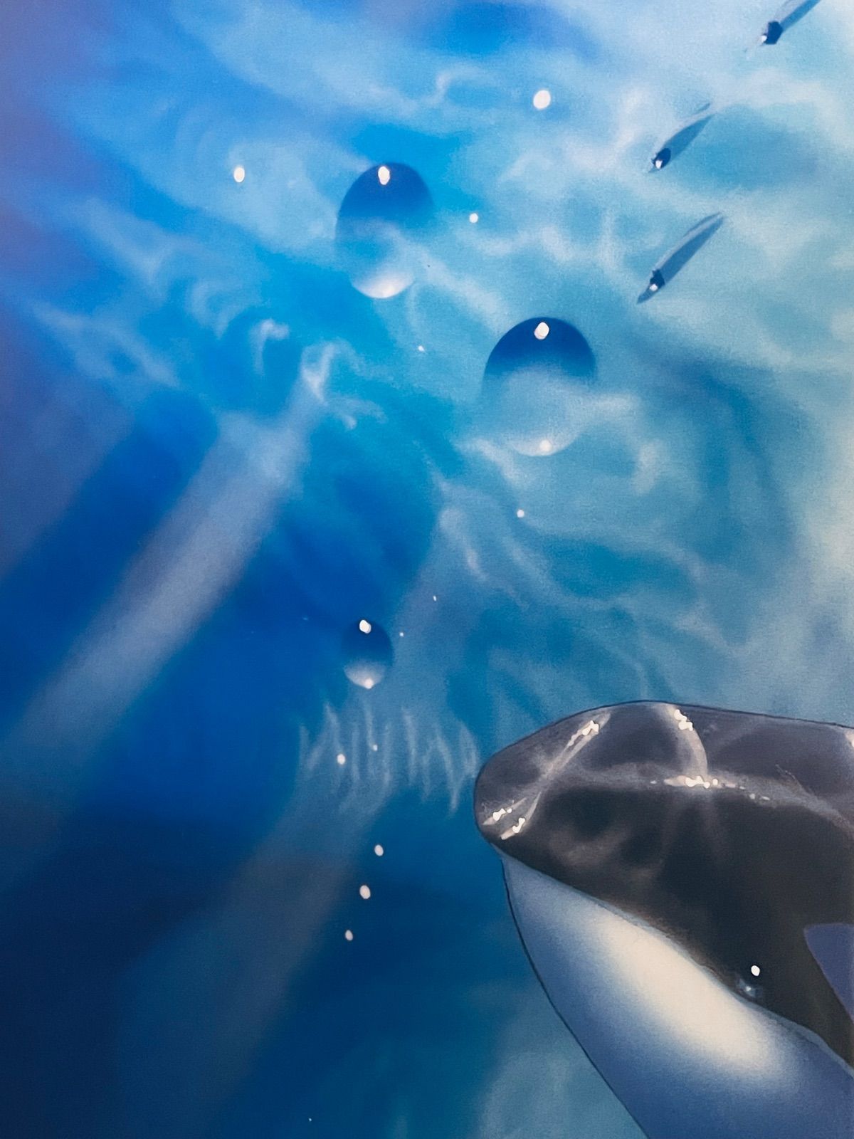 ラッセン直筆スケッチ　シャチ ラッセン直筆スケッチ シャチ｜Yahoo!フリマ（旧PayPayフリマ）