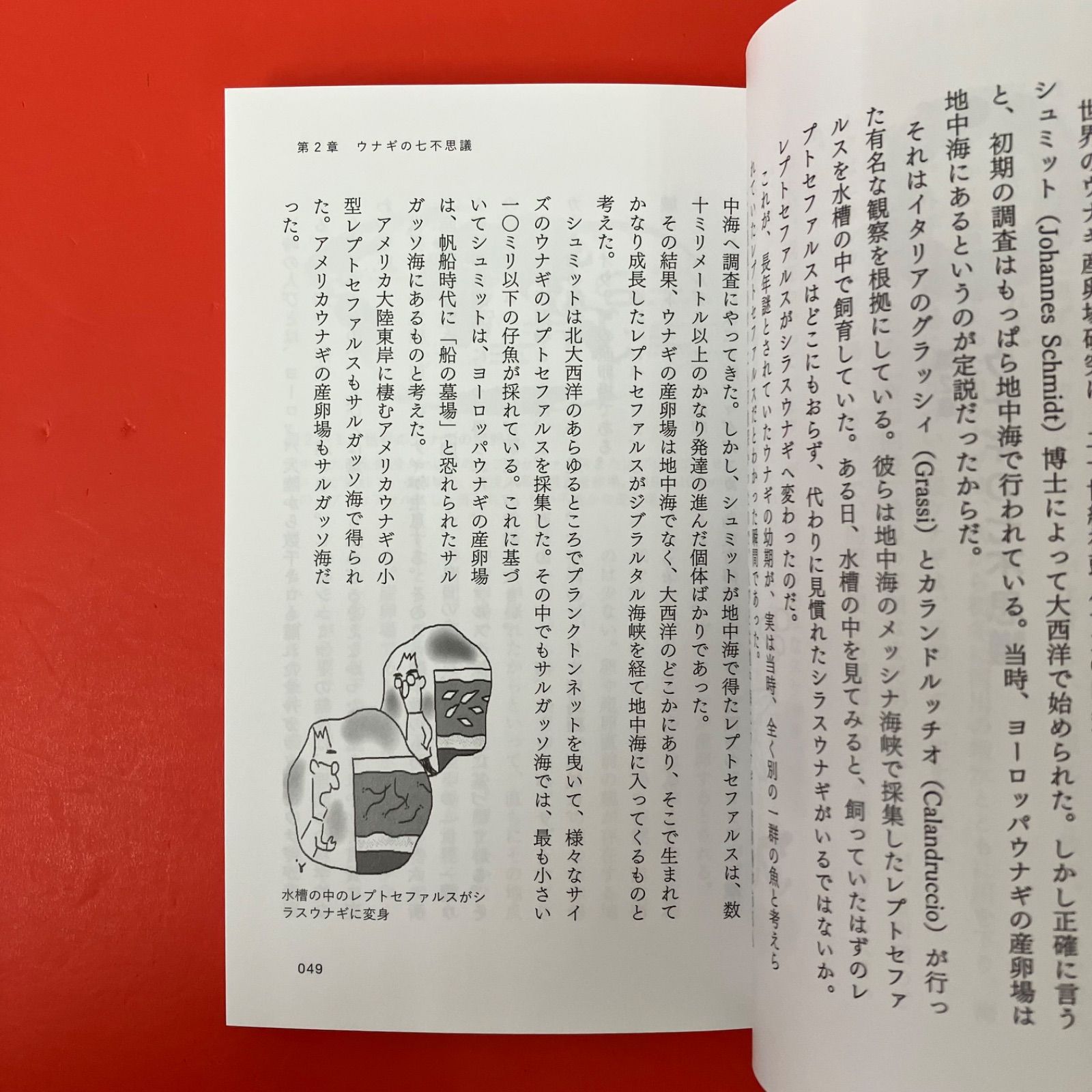 ウナギページ ウナギ 大回遊の謎 ym_b16_7117 - メルカリ