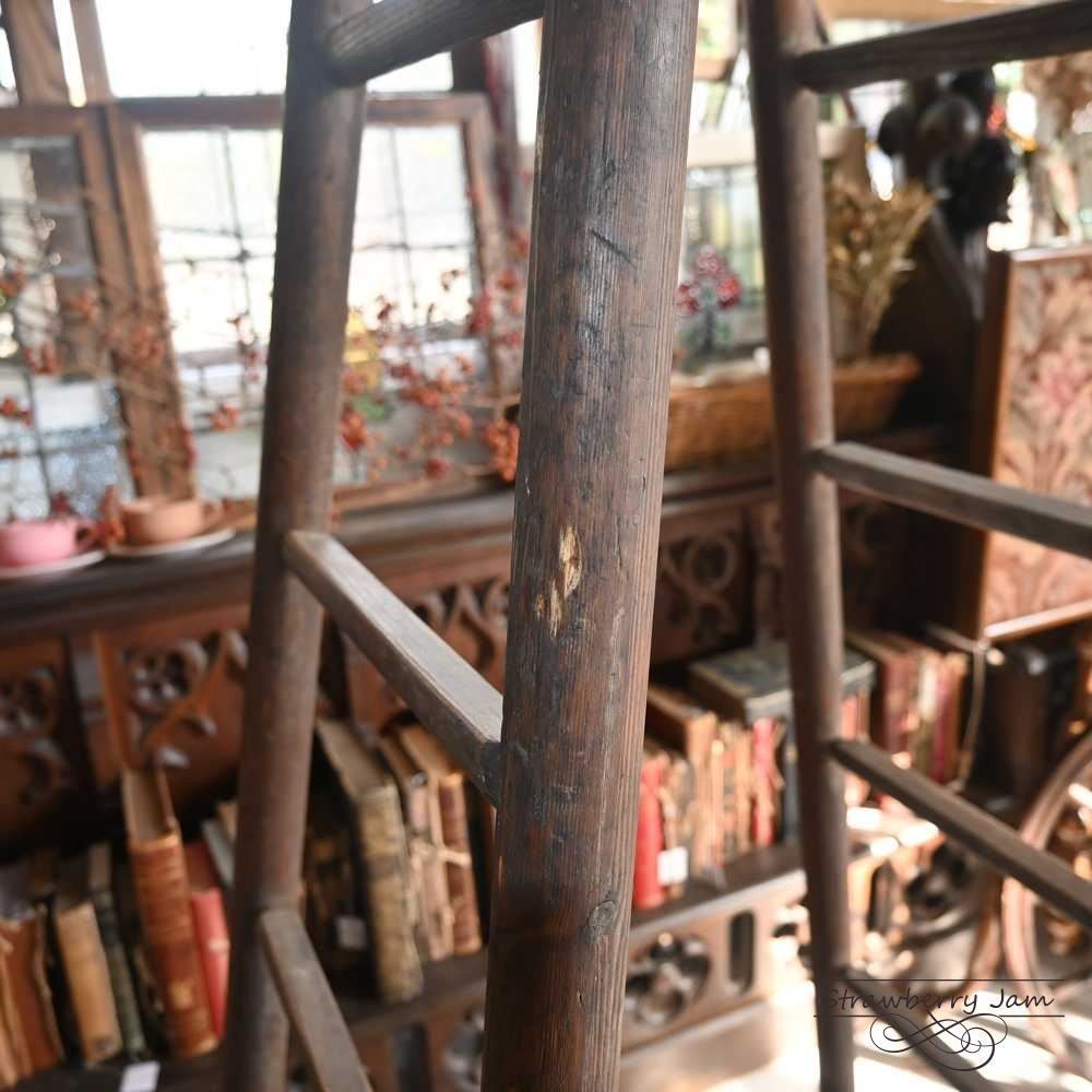 L3710-105 英国アンティーク ラダー ステップラダー プランター