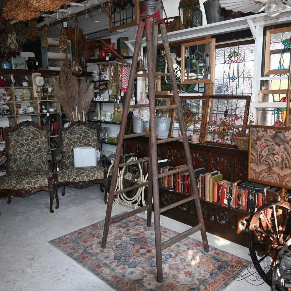 L3710-105 英国アンティーク ラダー ステップラダー プランター