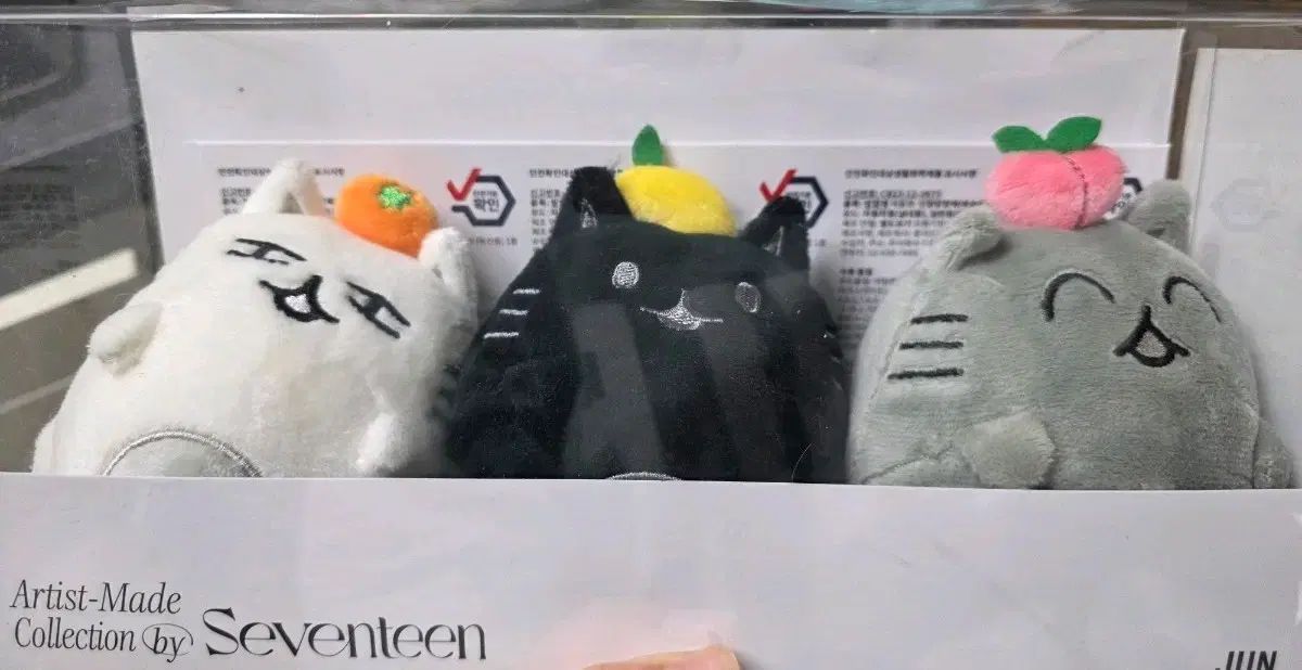 SEVENTEEN(セブンティーン・セブチ) ジュン(JUN) Artist アーティスト