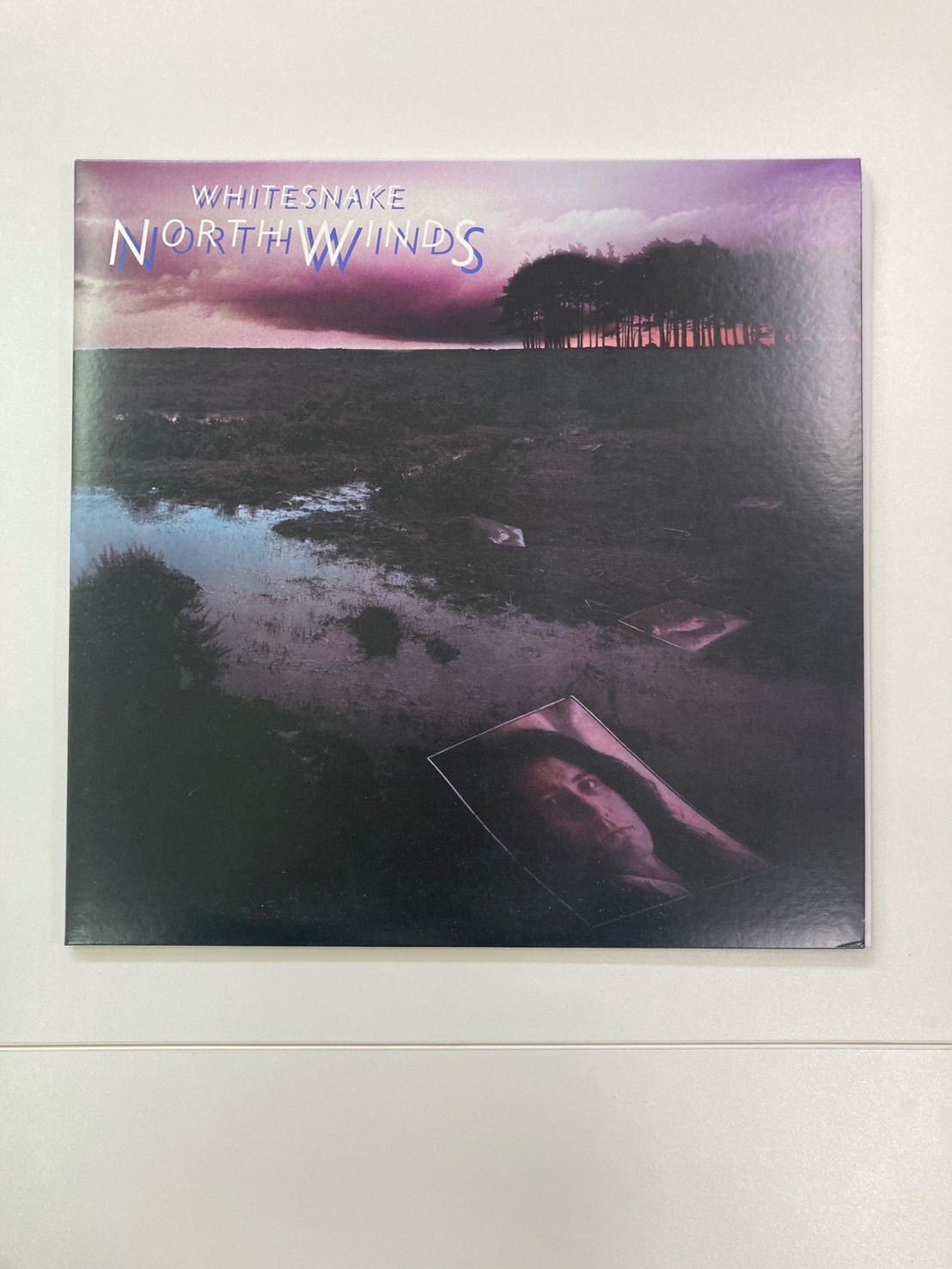 他レコード セット