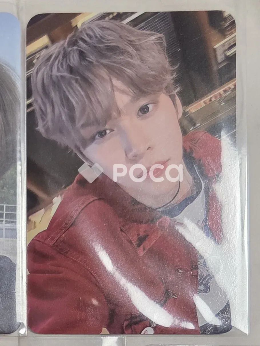 良い コレクションシリーズアグリアスロドリゲッティー.-1