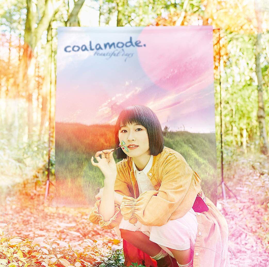 ビューティフルデイズ 初回生産 盤 DVD付 特典なし 品