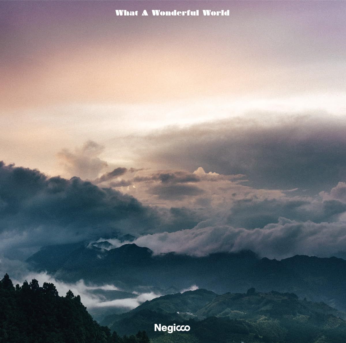 What A Wonderful World Analog 品