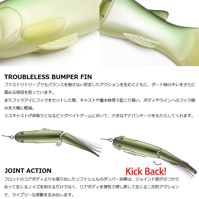 25 ブルーバックシャイナー