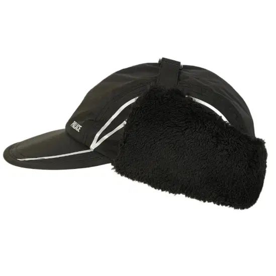 パレス リバーシブル ゴアテックス ウィンドストッパー フォッシィ