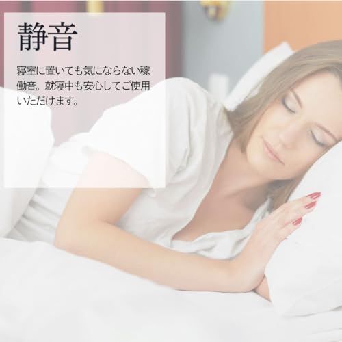 2本巻き マブチモーター