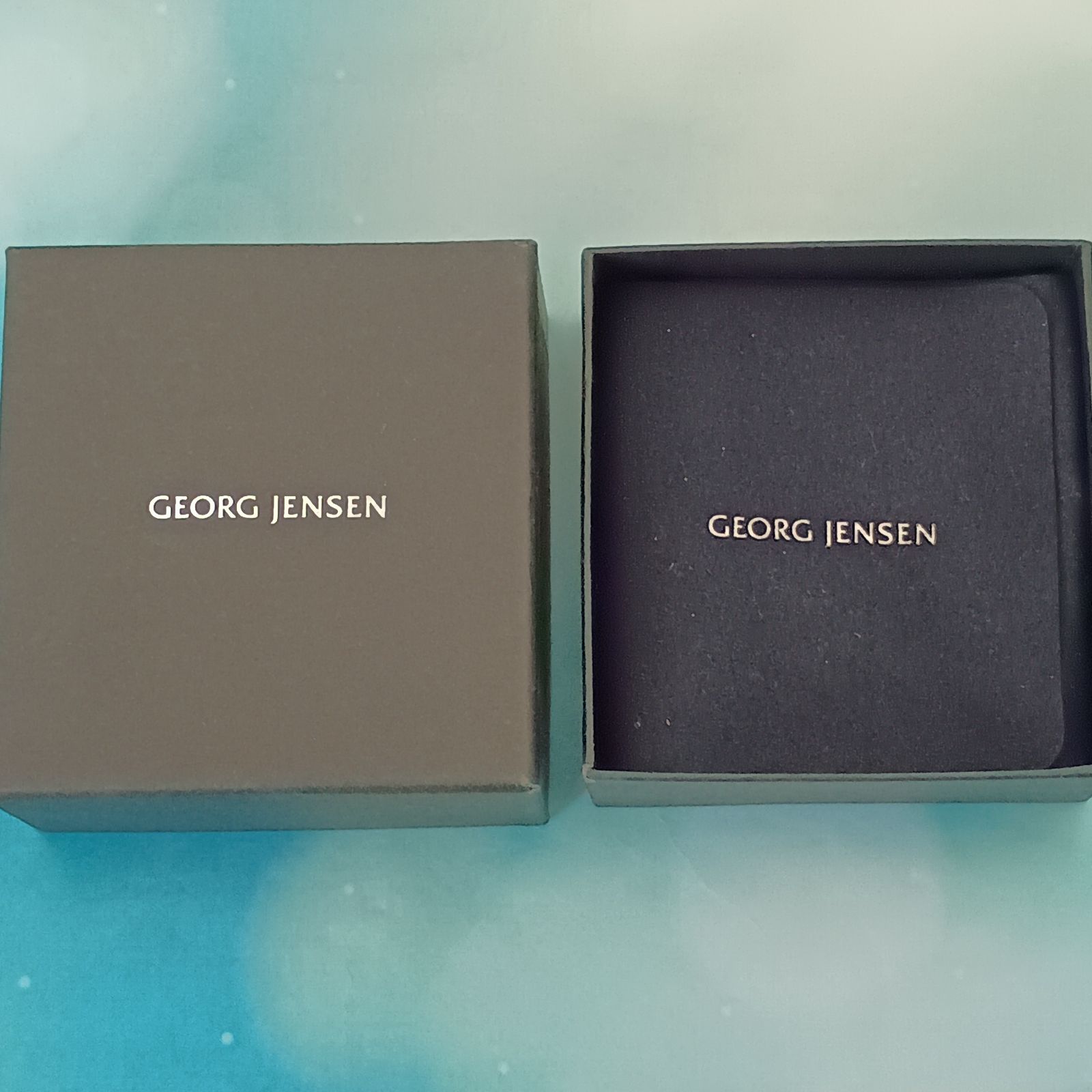 Georg Jensen ジョージジェンセン バタフライ 蝶 ブローチ メンズ