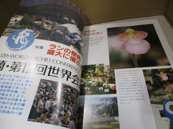 ニューオーキッド NEW ORCHIDS 洋蘭総合誌 NO.23 盆栽世界増刊