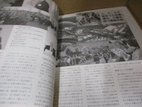 趣味の洋ラン　 ニューオーキッド10冊 洋蘭雑誌　洋ラン雑誌　フラグミペディウム ニューオーキッド NEW ORCHIDS 洋蘭総合誌 NO.23 盆栽世界増刊