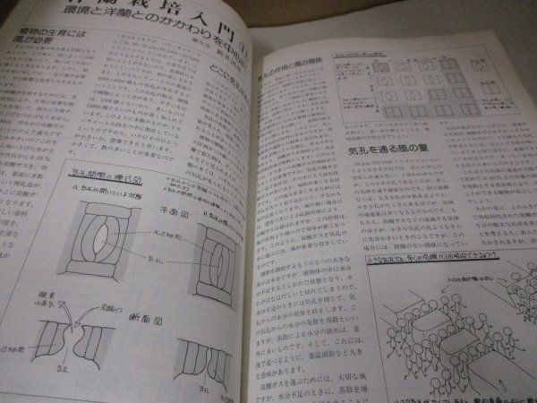 趣味の洋ラン　 ニューオーキッド10冊 洋蘭雑誌　洋ラン雑誌　フラグミペディウム 趣味の洋ラン ニューオーキッド10冊 洋蘭雑誌 洋ラン雑誌 フラグミ