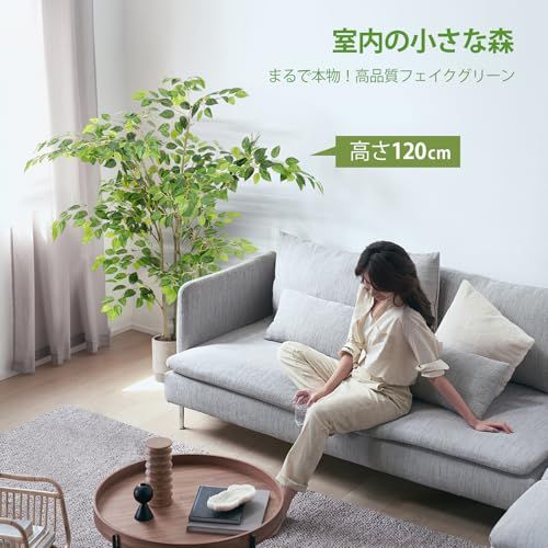 フェイクグリーン ベンジャミン