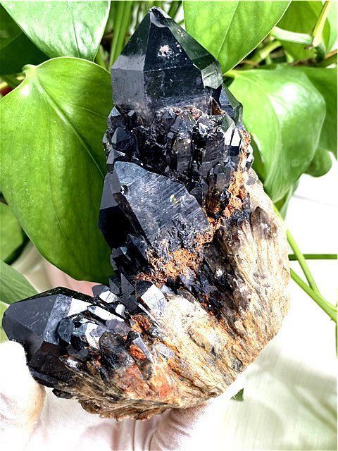  AAA級 魔除け 天然モリオン 黒水晶 クラスターYT8C6 174C36D 小物入れ 置物 インテリア小物