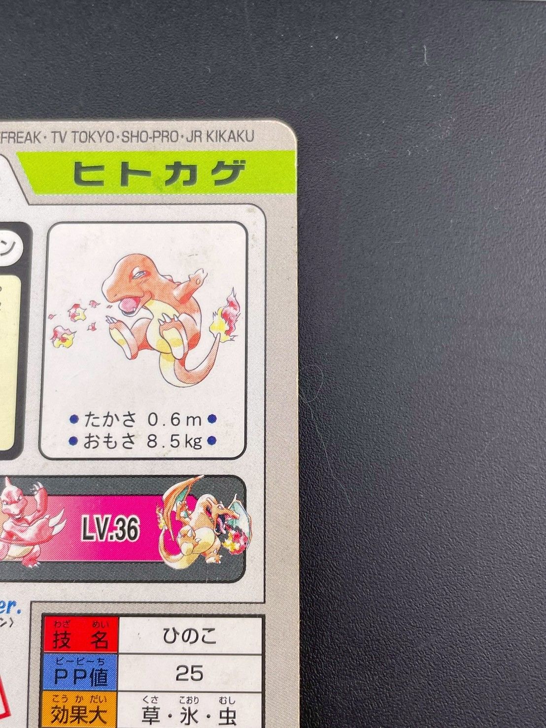 ポケモンカード⭐︎バンダイ⭐︎カードダス⭐︎４０枚セット⭐︎レア貴重1997年 1997年版 No.000【バンダイ】-旧ポケモンカード買取専門.com