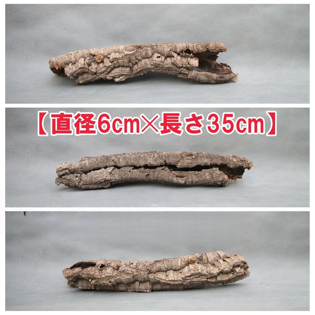 W090 ポルトガル産 キャノンコルク コルク樹皮 コルク板 バージン