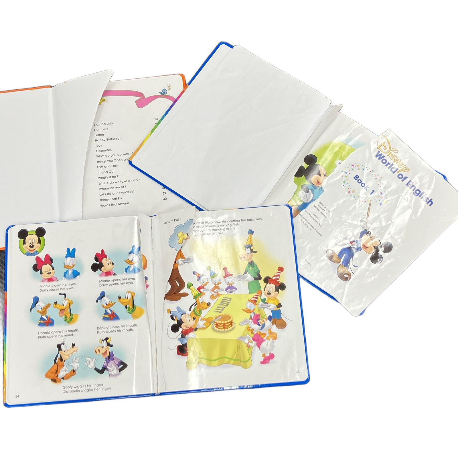 ディズニーワールドオブイングリッシュ 英語システム 2019年頃 英語