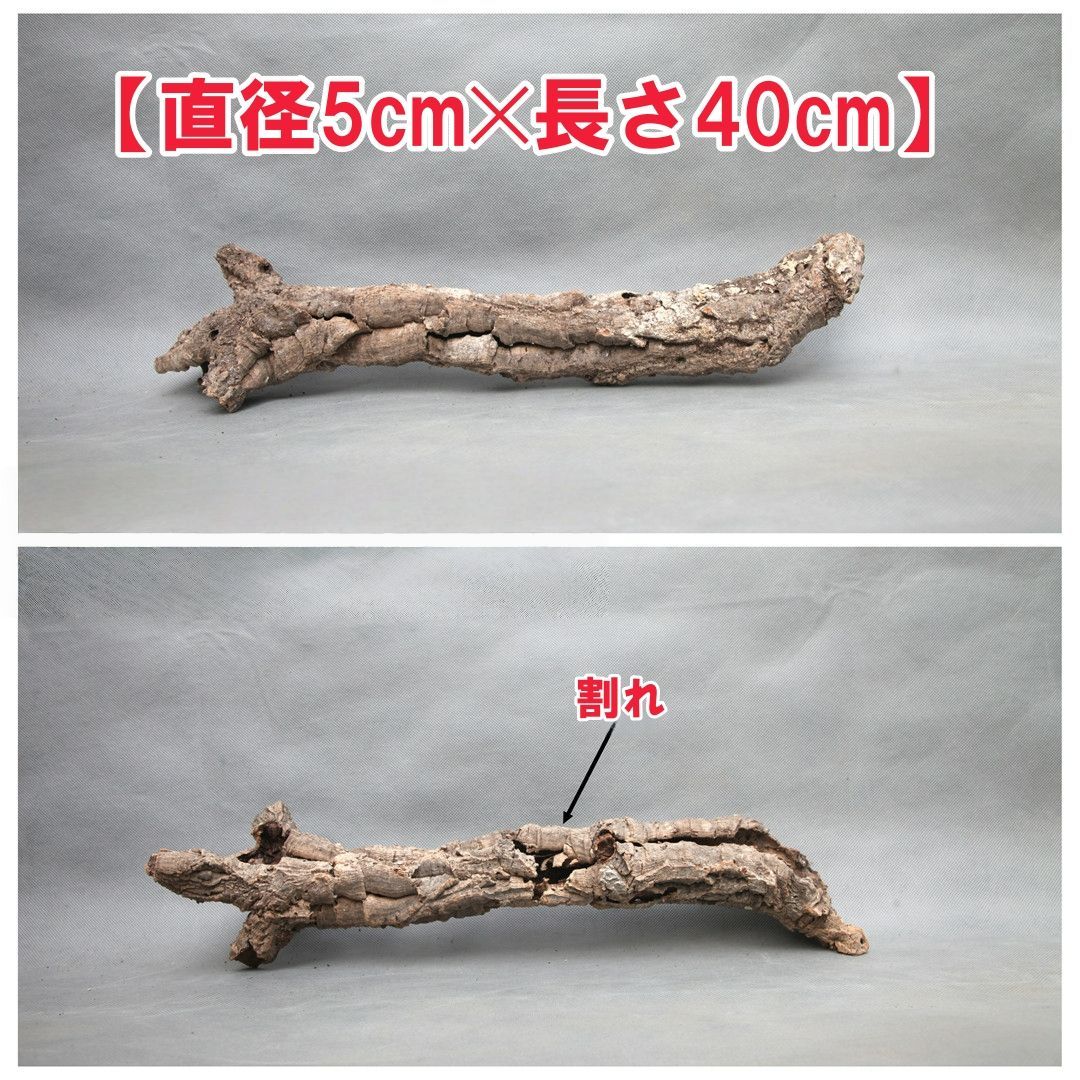 W159 ポルトガル産 キャノンコルク コルク樹皮 コルク板 バージン