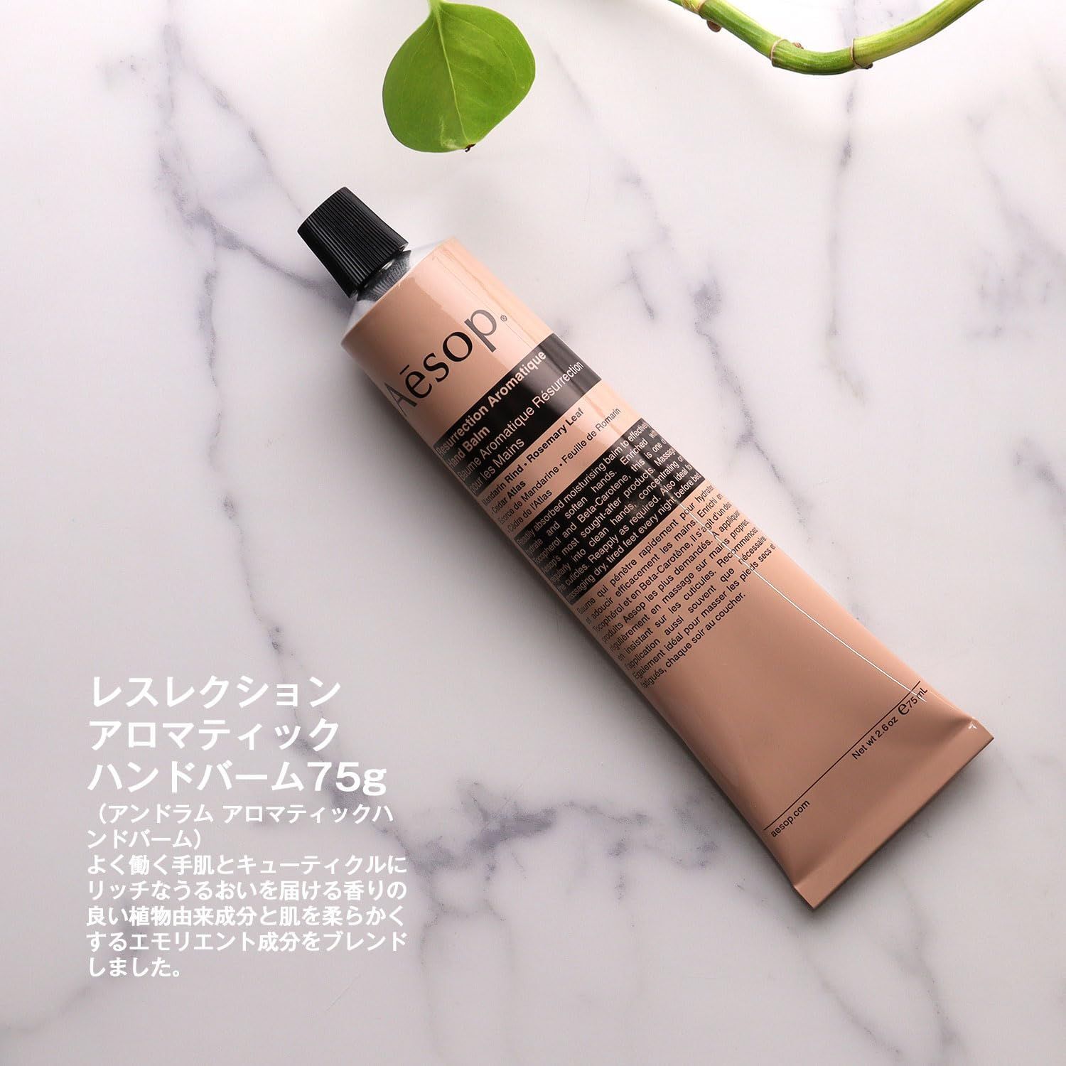 Aesop イソップ ギフト セット アンドラム アロマティック ハンド 