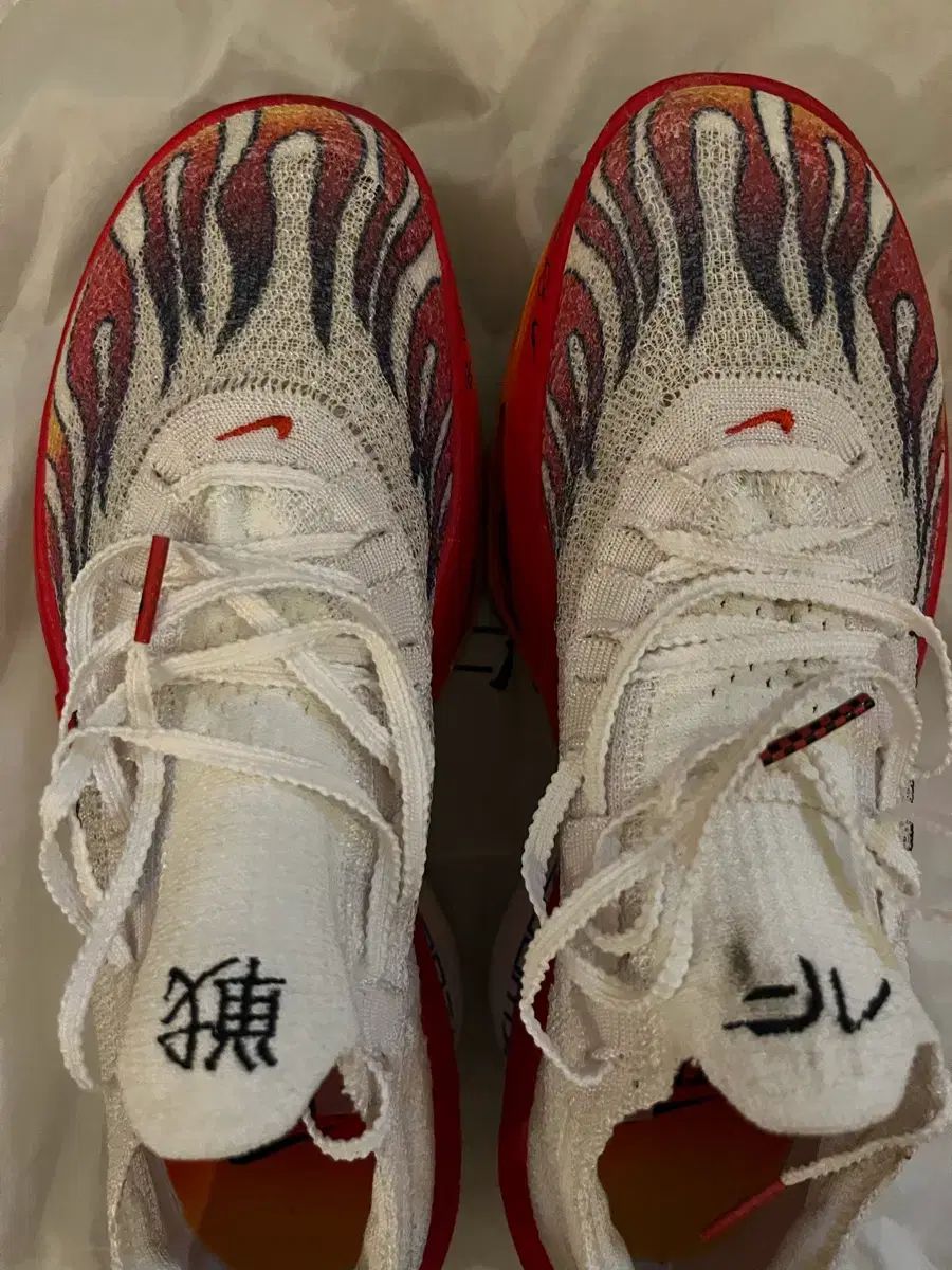 アルファフライ ネクスト