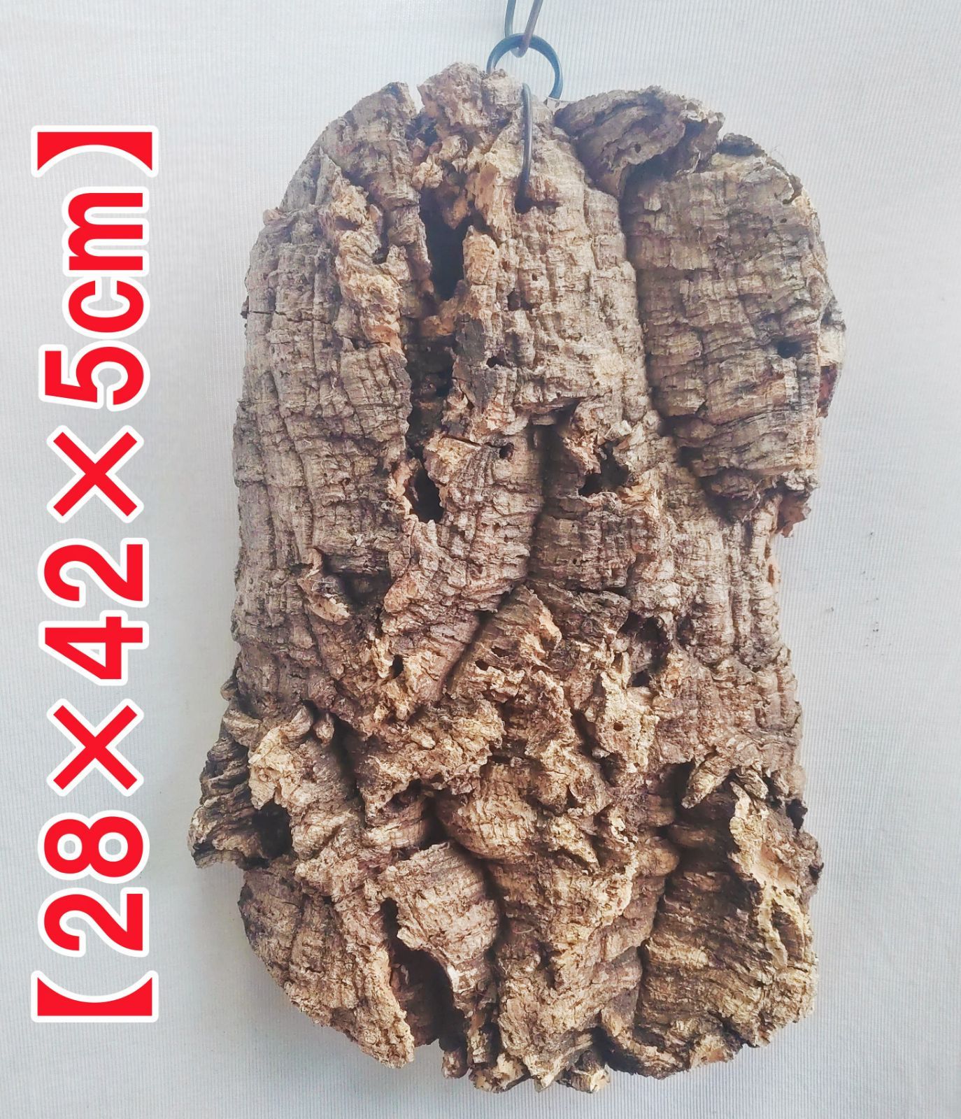 ポルトガル産コルク樹皮 PL-1002-103L ポルトガル産コルク樹皮 PL