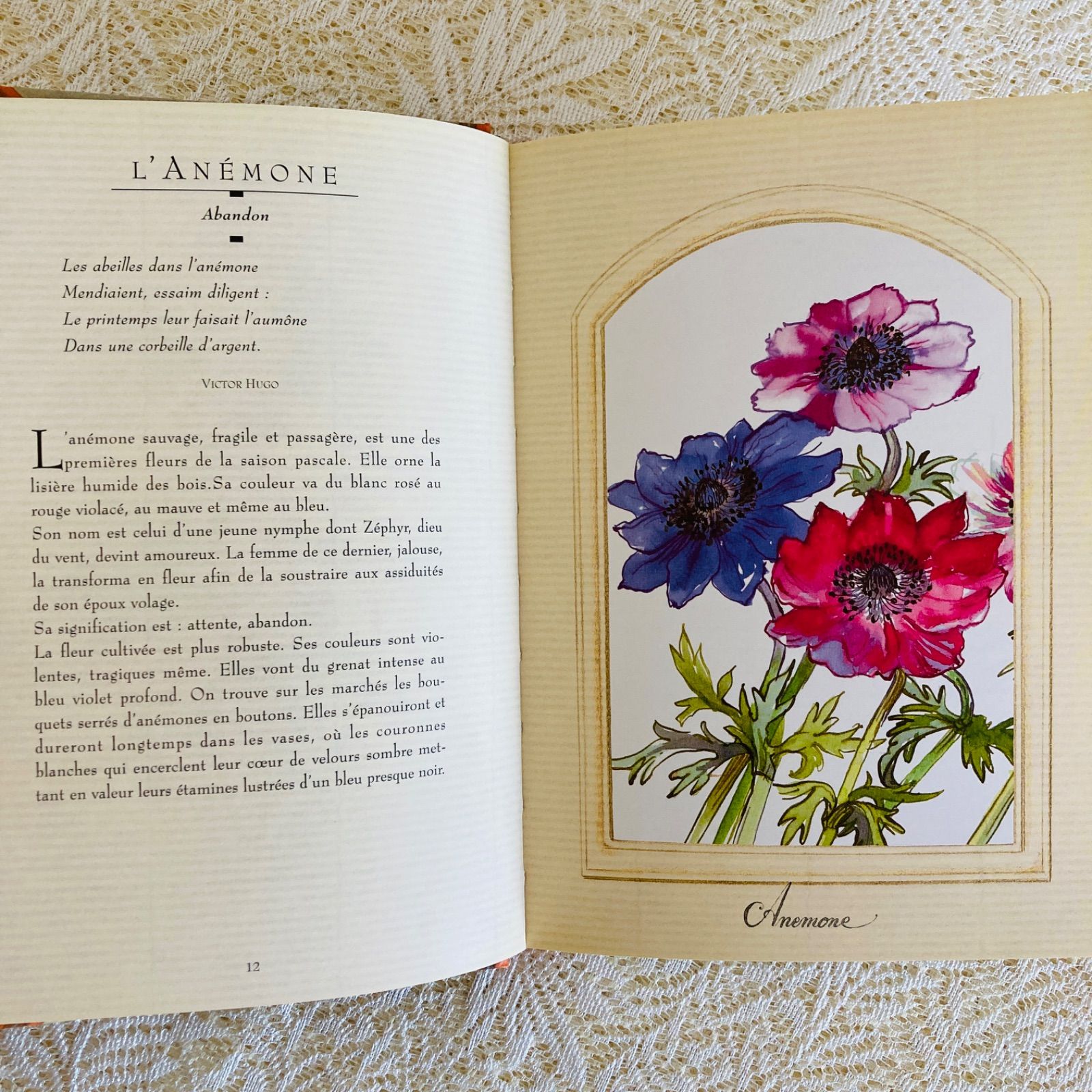 本 希少なヴィンテージ植物図鑑2巻セット 繊細で美しい植物画300点