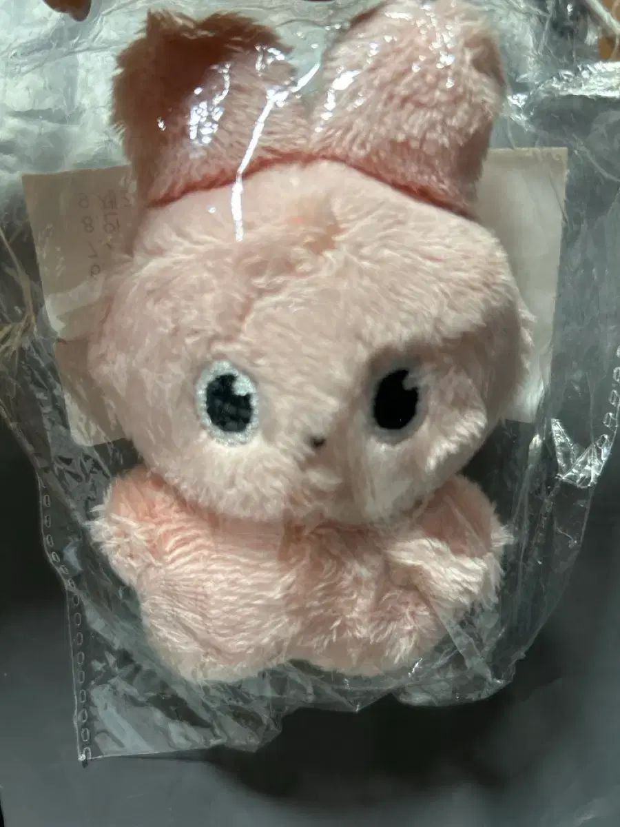 RIIZE（ライズ）ウォンビン(WONBIN) ぬいぐるみ 또삐 - メルカリ