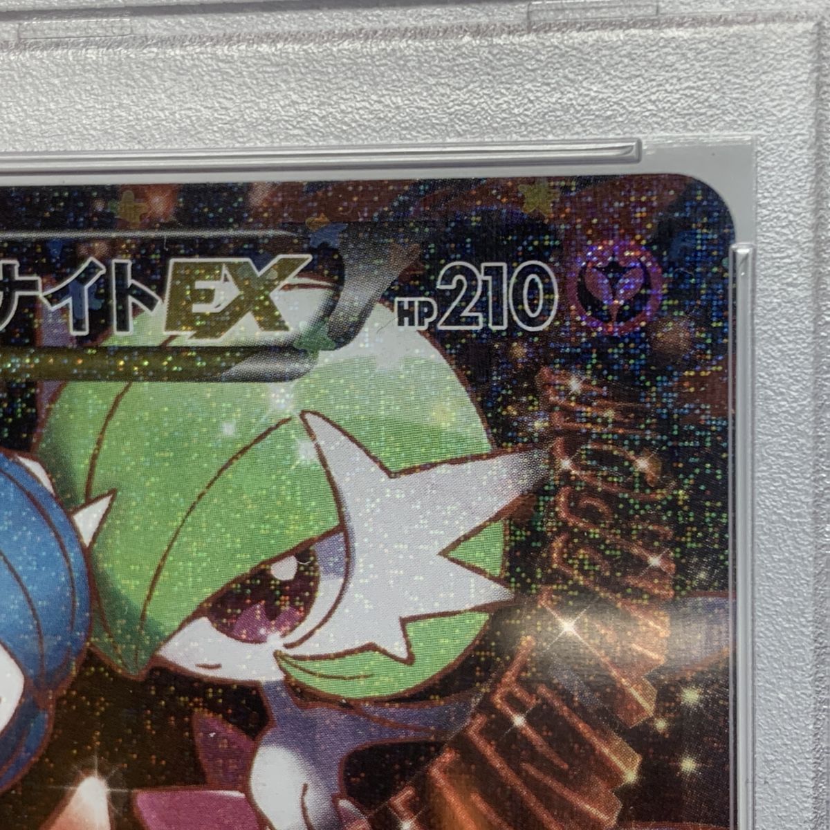 PSA10】ポケモンカード MサーナイトEX RR 020/032 CP3 ポケキュン