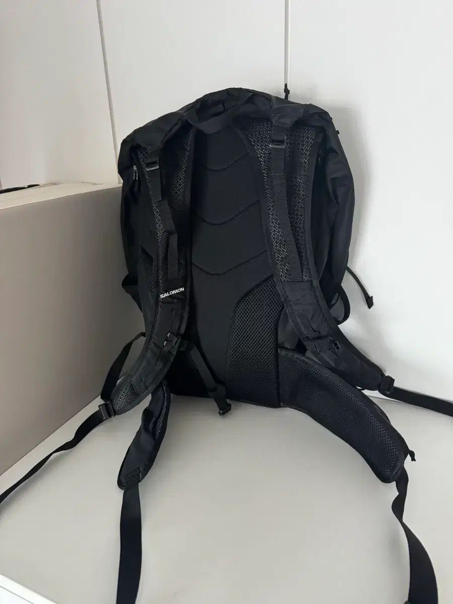 SALOMON サロモン トレイルブレーザー バックパック 30 L
