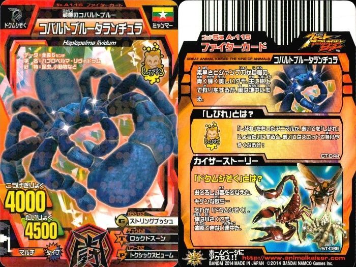 ux362 グレートアニマルカイザー カバ二郎 トゲヤマガメ他 キラ 9枚