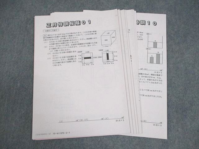 SAPIX サピックス 小6 算数 正月特訓桜蔭01～10 テスト計10回 2021
