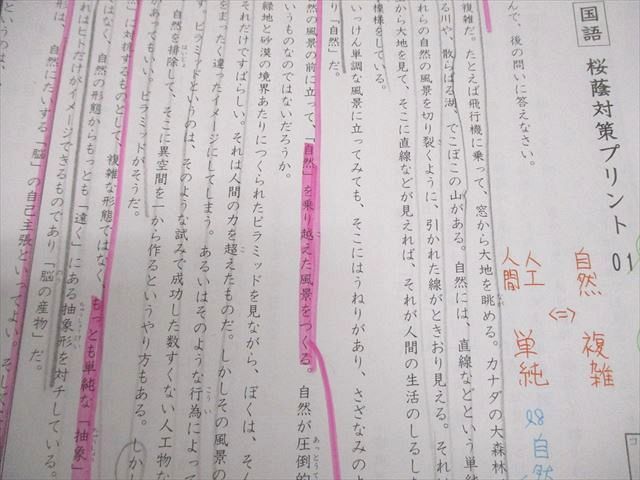 桜蔭対策プリント　国語　サピックス　６年　書込みなし 桜蔭対策プリント 国語 サピックス 6年 書込みなし SAPIX 難関校 SS