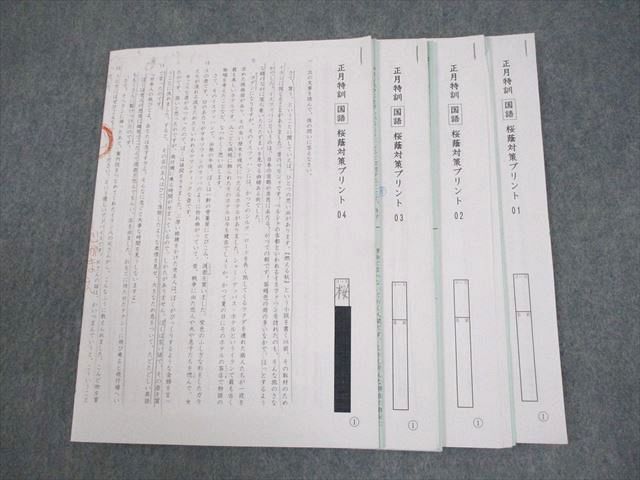 SAPIX サピックス 小6 国語 正月特訓 桜蔭対策プリント01～04 テスト計