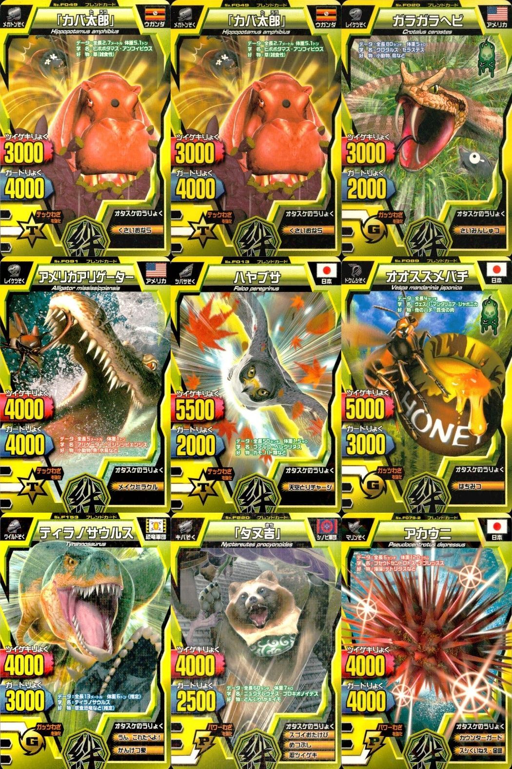 ux363 グレートアニマルカイザー まとめ売り 9枚 タヌ吉
