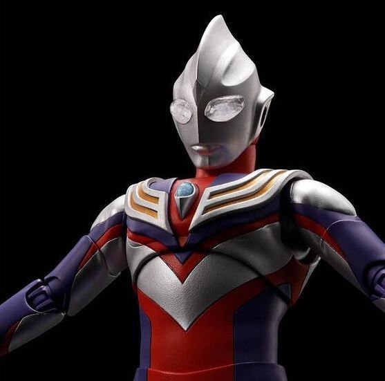 新品 輸送箱未開封 送り状痕なし S.H.Figuarts 真骨彫製法 