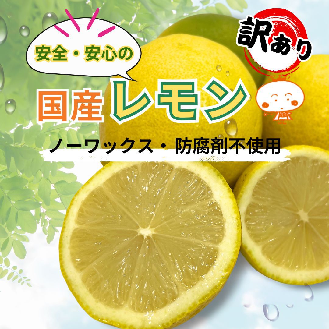 愛媛産 グリーンレモン 10キロ 小サイズ (訳あり) 愛媛県産 グリーンレモン 10kg 新品 - メルカリ