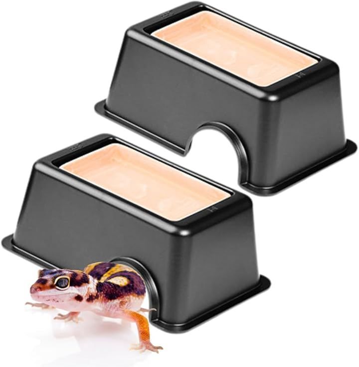 爬虫類 ウェットシェルター 29 爬虫類 ウェットシェルター 29 爬虫類 ウェットシェルター 29