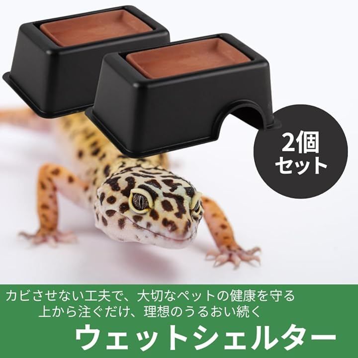 I'm so happy シェルター 爬虫類 隠れ家 洞窟 ウェットシェルター 飼育