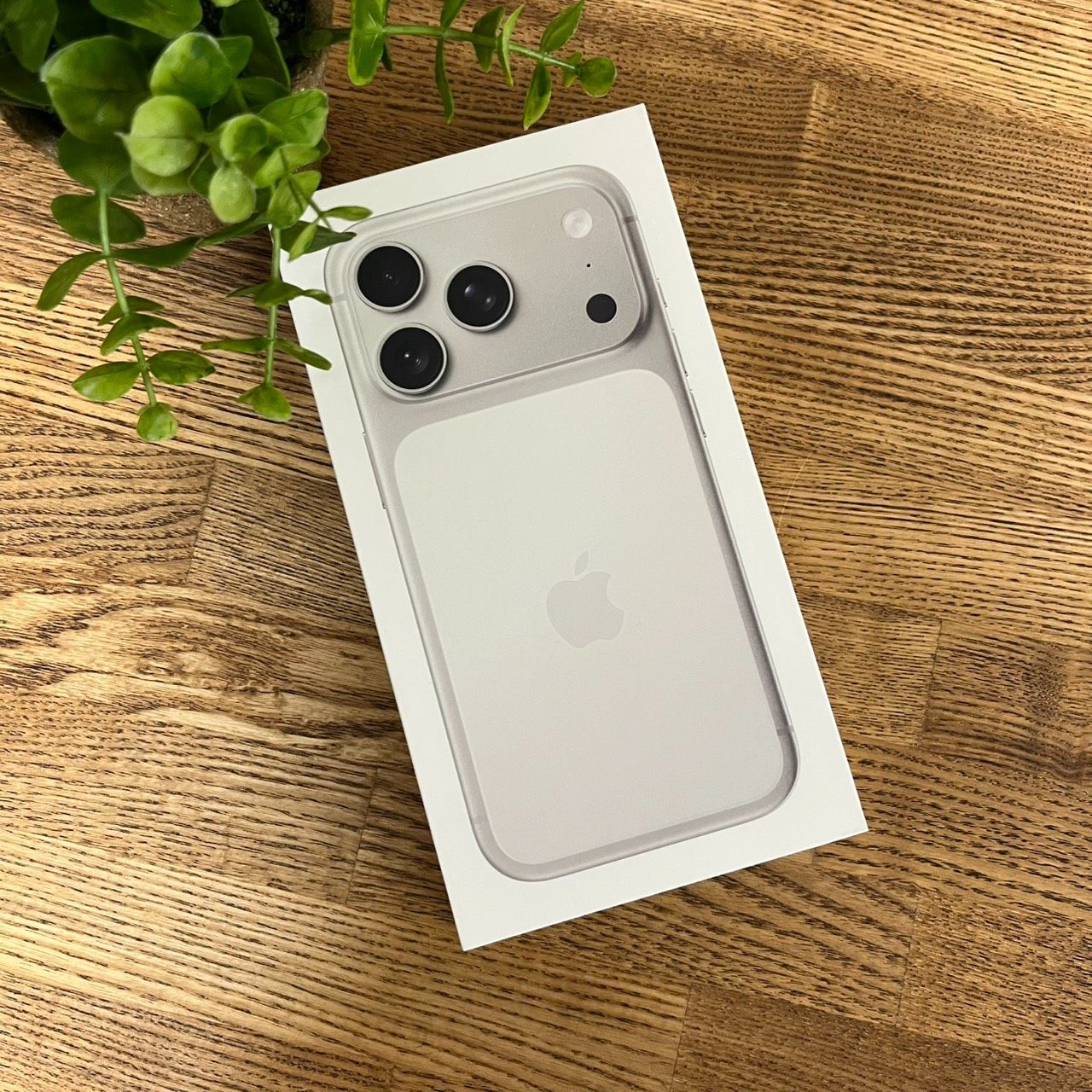 新品・未開封 iPhone17 Pro 1TB シルバー Apple版 SIMフリー送料無料