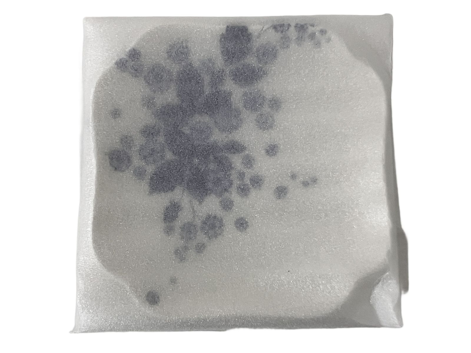 ウェッジウッド