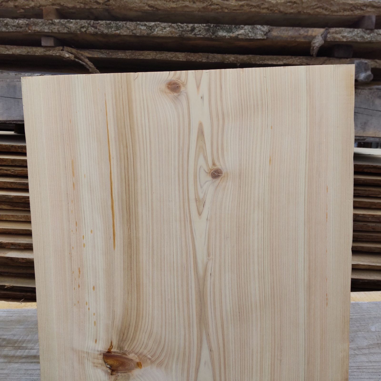 耳部分を含む 厚み40