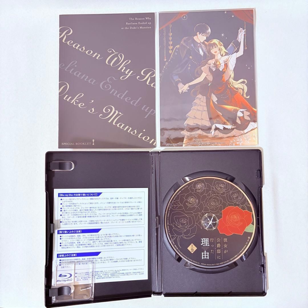 彼女が公爵邸に行った理由 上巻