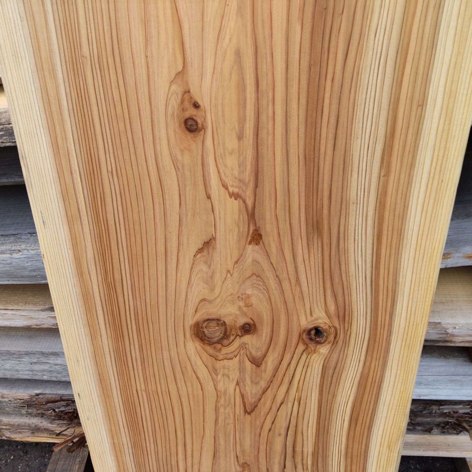  日田杉一枚板 146 cm×53 c m〜57.5 cm×50 mm ミミ幅5～6 cm 木材 材料 資材